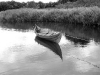 DSCN0249