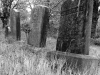 imag0086