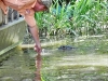 dscn0145