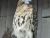 dscn0413