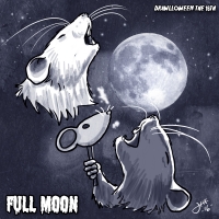 16 Full Moon