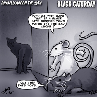 29 Black Caturday