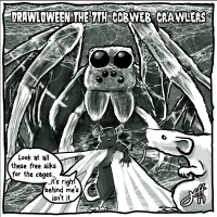 07 Cobweb Crawlers