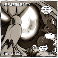 14 Owl Be Back