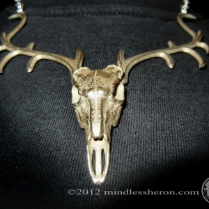 tumblr_m1vydcn5rq1rt2airo1_1280